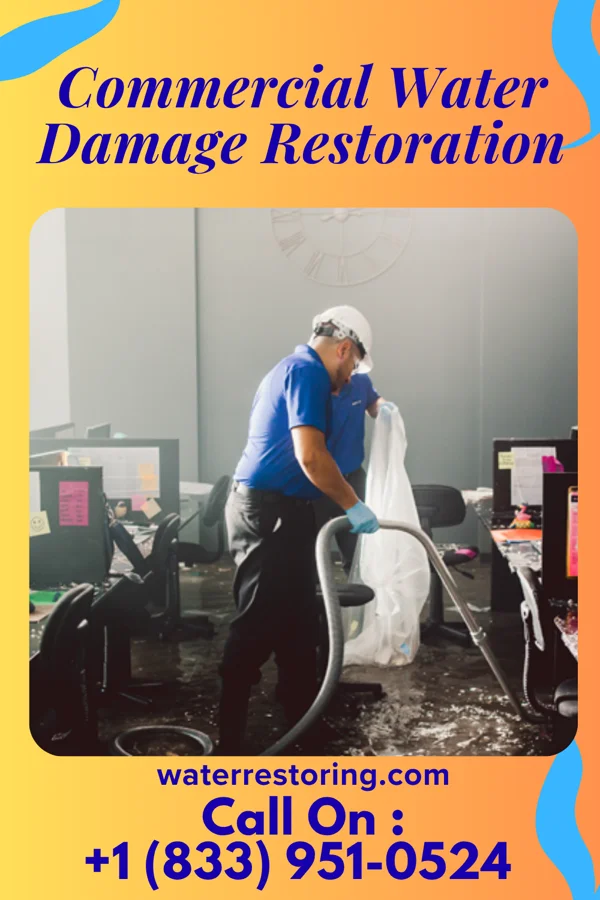 Commercial Water Damage Restoration in Swan, IA