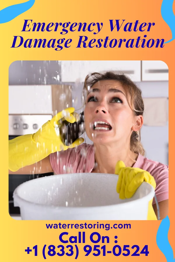 Emergency Water Damage Restoration in Swan, IA